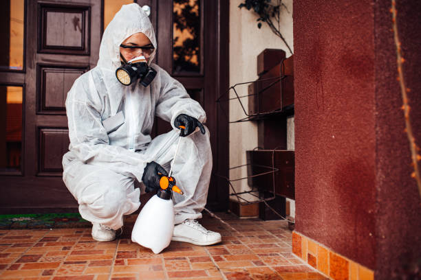 Reliable Bed Bug Control contractor in Wickenburg, AZ by Nex Pest Control